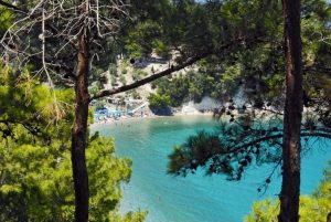 8η ΑΝΑΚΟΙΝΩΣΗ 2026. Προτάσεις της Κοινο_Τοπίας για προγραμματισμένα συναπαντήματα